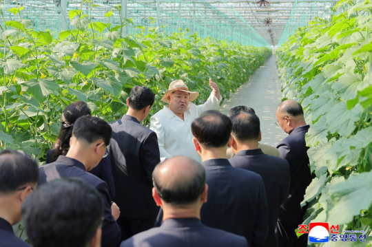 Kim Jong Un Inspects Sinuiju Combined Greenhouse Farm